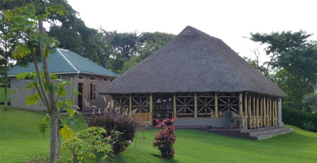 Chimpanzee Forest Guest House