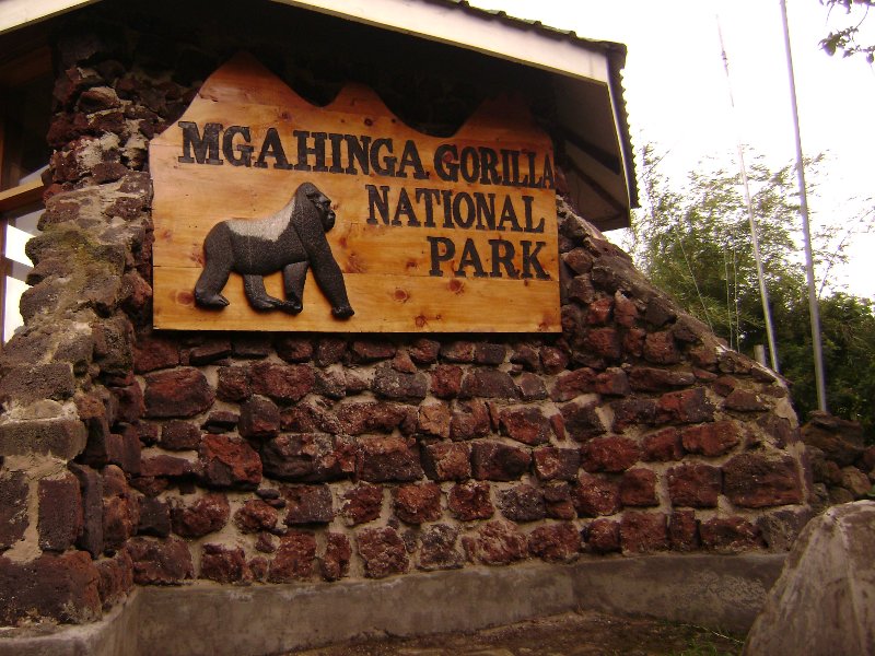 Mgahinga Gorilla National Park | Gorilla Trekking Destinations | Uganda