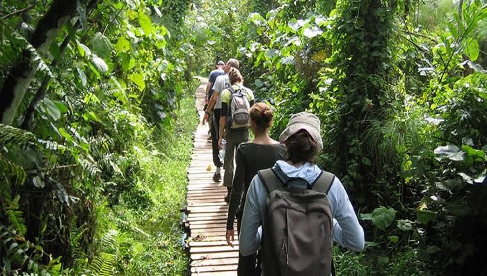 Facts about Kibale forest national park