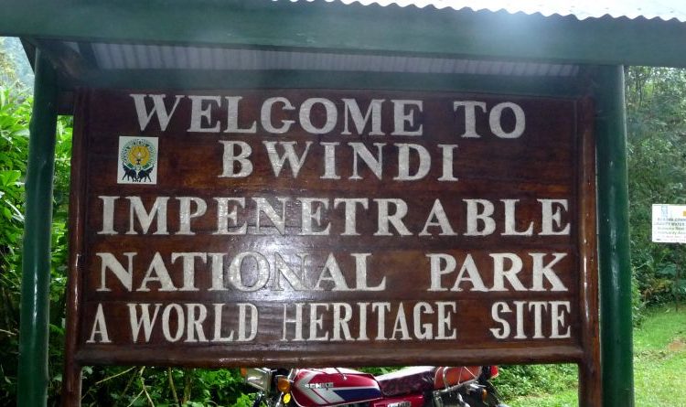 Entrance Fees to Bwindi Impenetrable National Park